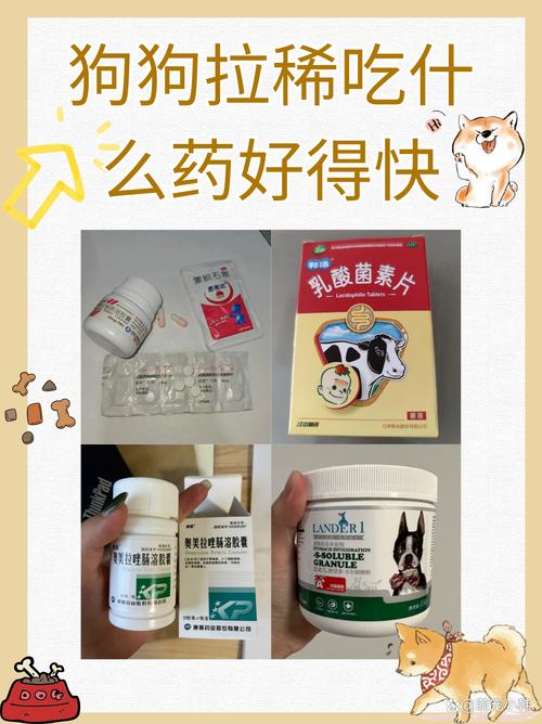 狗狗拉肚子可以吃益生菌吗,小狗拉肚子可以喂益生菌吗?-第2张图片-后鲨宠物 狗狗拉肚子可以吃益生菌吗,小狗拉肚子可以喂益生菌吗?-第2张图片-后鲨宠物