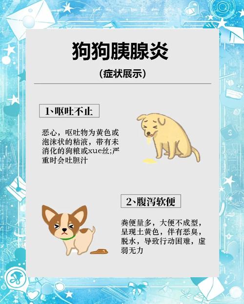 怎样判断狗狗得了胰腺炎,狗胰腺炎早期10个征兆-第2张图片-后鲨宠物 怎样判断狗狗得了胰腺炎,狗胰腺炎早期10个征兆-第2张图片-后鲨宠物