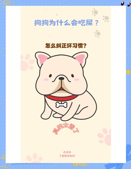 狗狗吃便便怎么办_狗狗吃屎咋办-第1张图片-后鲨宠物 狗狗吃便便怎么办_狗狗吃屎咋办-第1张图片-后鲨宠物