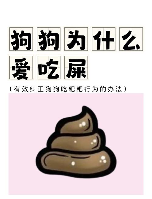 狗狗吃便便怎么办_狗狗吃屎咋办-第2张图片-后鲨宠物 狗狗吃便便怎么办_狗狗吃屎咋办-第2张图片-后鲨宠物