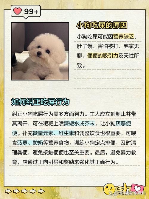 狗狗吃便便怎么办_狗狗吃屎咋办-第3张图片-后鲨宠物 狗狗吃便便怎么办_狗狗吃屎咋办-第3张图片-后鲨宠物