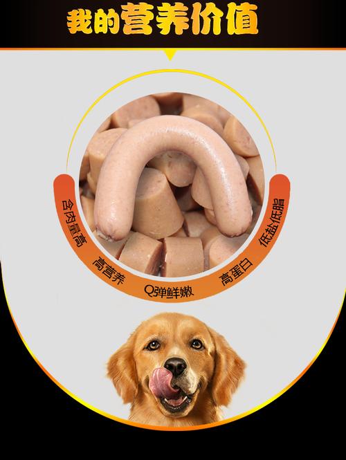 小狗狗可以吃火腿肠吗,小宠物狗可以吃火腿肠吗?-第2张图片-后鲨宠物 小狗狗可以吃火腿肠吗,小宠物狗可以吃火腿肠吗?-第2张图片-后鲨宠物