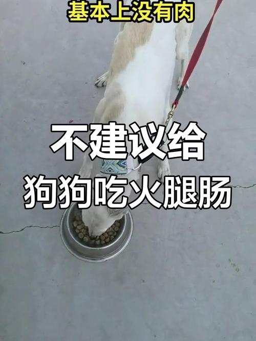 小狗狗可以吃火腿肠吗,小宠物狗可以吃火腿肠吗?-第6张图片-后鲨宠物 小狗狗可以吃火腿肠吗,小宠物狗可以吃火腿肠吗?-第6张图片-后鲨宠物