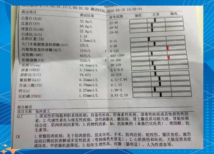 狗狗crp高怎么治疗_狗狗crp很高-第5张图片-后鲨宠物 狗狗crp高怎么治疗_狗狗crp很高-第5张图片-后鲨宠物