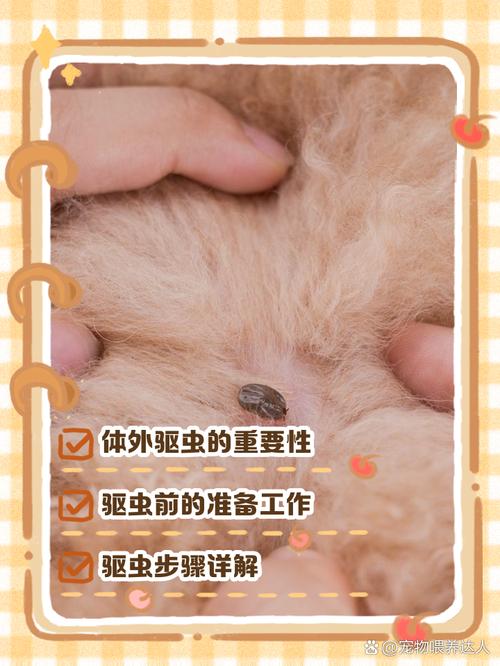 狗狗怀孕了能驱虫吗_狗狗怀孕了能驱虫吗?-第4张图片-后鲨宠物 狗狗怀孕了能驱虫吗_狗狗怀孕了能驱虫吗?-第4张图片-后鲨宠物