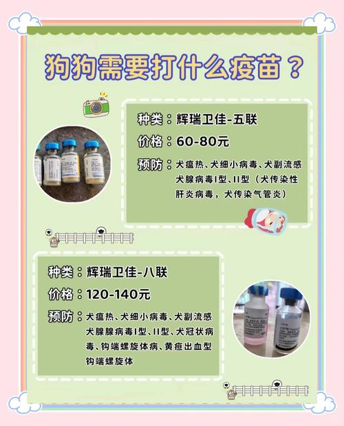 狗狗打疫苗要空腹吗,狗狗打疫苗前要准备什么-第3张图片-后鲨宠物 狗狗打疫苗要空腹吗,狗狗打疫苗前要准备什么-第3张图片-后鲨宠物