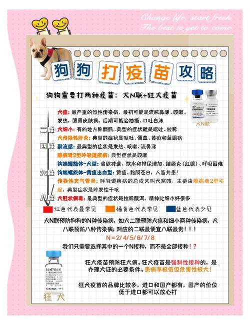 狗狗打疫苗要空腹吗,狗狗打疫苗前要准备什么-第5张图片-后鲨宠物 狗狗打疫苗要空腹吗,狗狗打疫苗前要准备什么-第5张图片-后鲨宠物