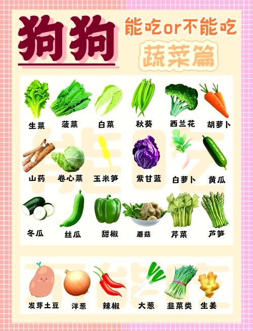  狗狗能吃山芋吗，狗狗可以吃山芋吗熟的