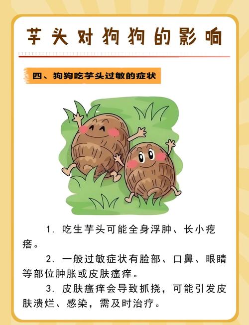 狗狗能吃山芋吗,狗狗可以吃山芋吗熟的-第4张图片-后鲨宠物 狗狗能吃山芋吗,狗狗可以吃山芋吗熟的-第4张图片-后鲨宠物