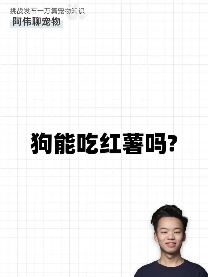 狗狗能吃山芋吗,狗狗可以吃山芋吗熟的-第5张图片-后鲨宠物 狗狗能吃山芋吗,狗狗可以吃山芋吗熟的-第5张图片-后鲨宠物