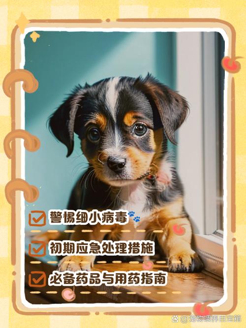 狗狗得细小的自救方法,细小几天不死就没事了-第1张图片-后鲨宠物 狗狗得细小的自救方法,细小几天不死就没事了-第1张图片-后鲨宠物