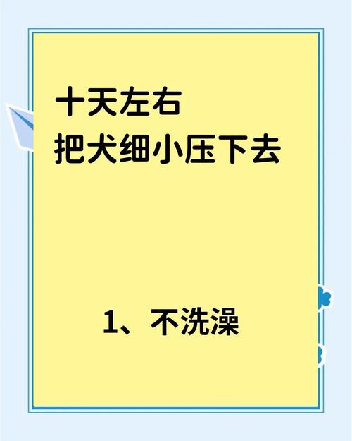 狗狗得细小的自救方法,细小几天不死就没事了-第2张图片-后鲨宠物 狗狗得细小的自救方法,细小几天不死就没事了-第2张图片-后鲨宠物