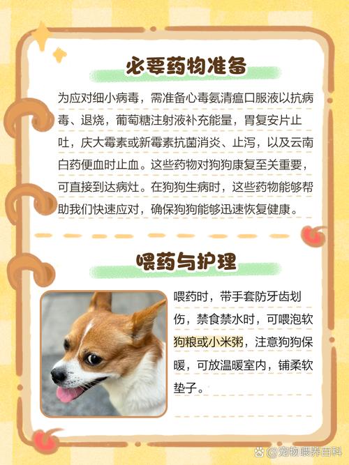 狗狗得细小的自救方法,细小几天不死就没事了-第3张图片-后鲨宠物 狗狗得细小的自救方法,细小几天不死就没事了-第3张图片-后鲨宠物