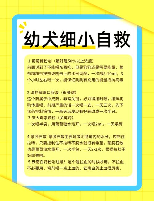 狗狗得细小的自救方法,细小几天不死就没事了-第6张图片-后鲨宠物 狗狗得细小的自救方法,细小几天不死就没事了-第6张图片-后鲨宠物