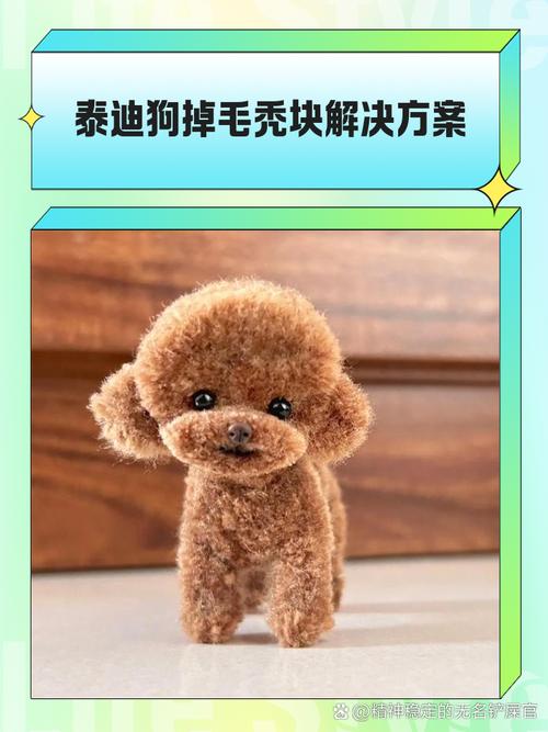 泰迪狗狗掉毛是什么原因,泰迪狗狗掉毛很厉害怎么办-第2张图片-后鲨宠物 泰迪狗狗掉毛是什么原因,泰迪狗狗掉毛很厉害怎么办-第2张图片-后鲨宠物