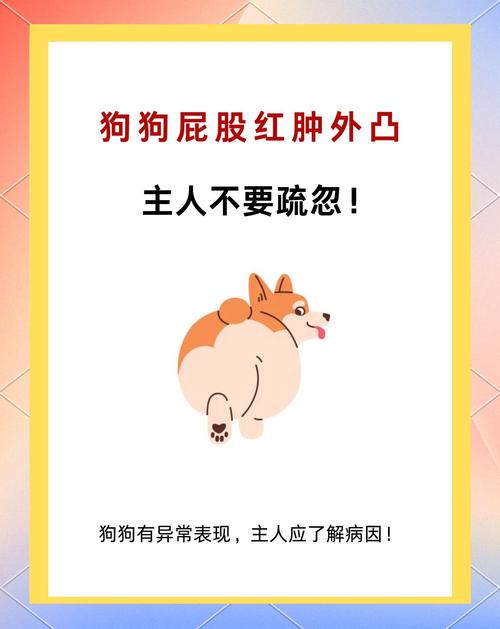 狗狗肛门痒怎么办，狗狗肛门瘙痒？