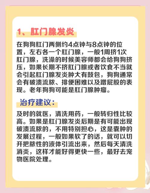 狗狗肛门痒怎么办，狗狗肛门瘙痒？-第6张图片-后鲨宠物