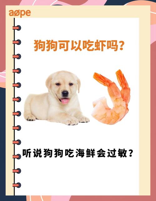 狗狗能吃海鲜吗_狗可以吃海鲜嘛-第1张图片-后鲨宠物 狗狗能吃海鲜吗_狗可以吃海鲜嘛-第1张图片-后鲨宠物