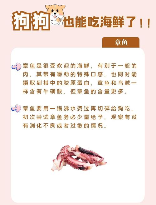 狗狗能吃海鲜吗_狗可以吃海鲜嘛-第5张图片-后鲨宠物 狗狗能吃海鲜吗_狗可以吃海鲜嘛-第5张图片-后鲨宠物
