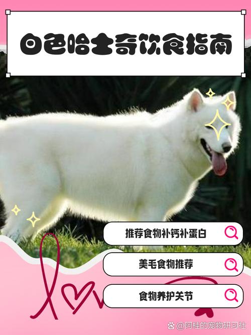 狗狗可以吃虾条吗,狗狗能吃虾味条吗-第4张图片-后鲨宠物 狗狗可以吃虾条吗,狗狗能吃虾味条吗-第4张图片-后鲨宠物