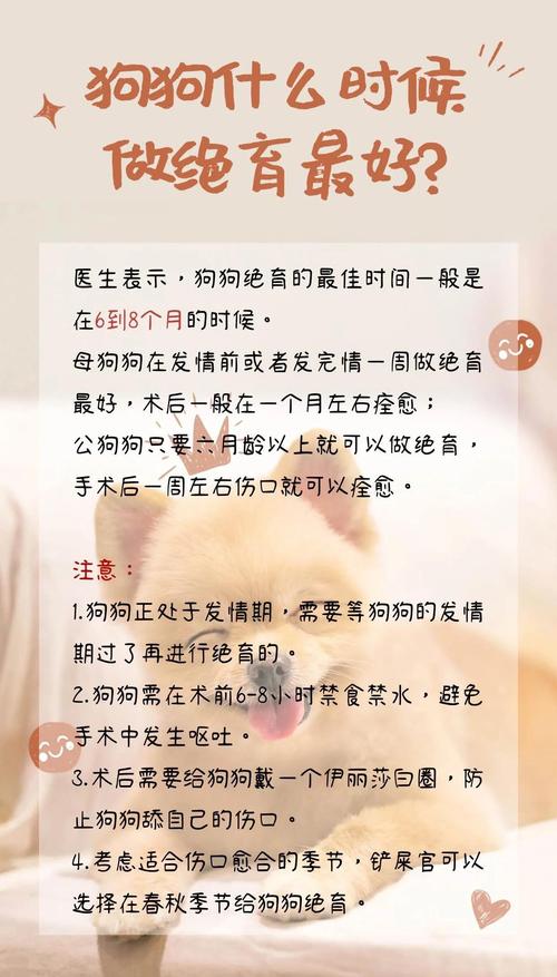 狗狗多大可以做绝育,狗狗多大的时候可以绝育-第4张图片-后鲨宠物 狗狗多大可以做绝育,狗狗多大的时候可以绝育-第4张图片-后鲨宠物
