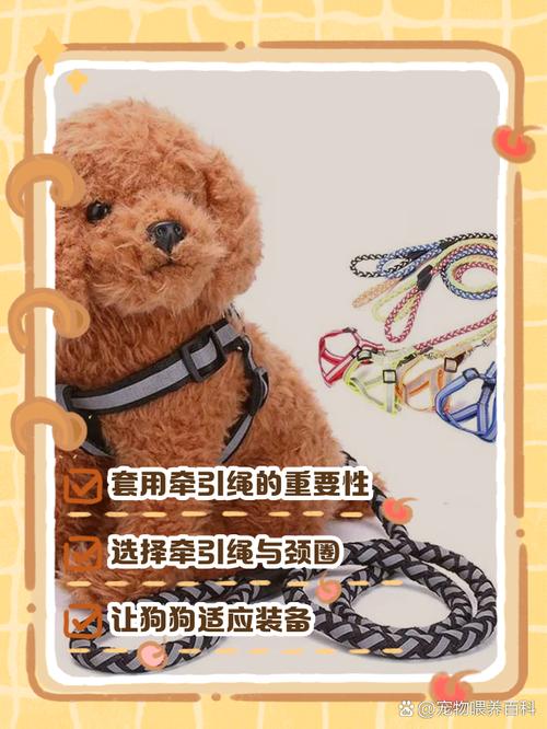 狗狗牵引绳怎么用_狗狗牵引绳用5mm还是6mm-第3张图片-后鲨宠物