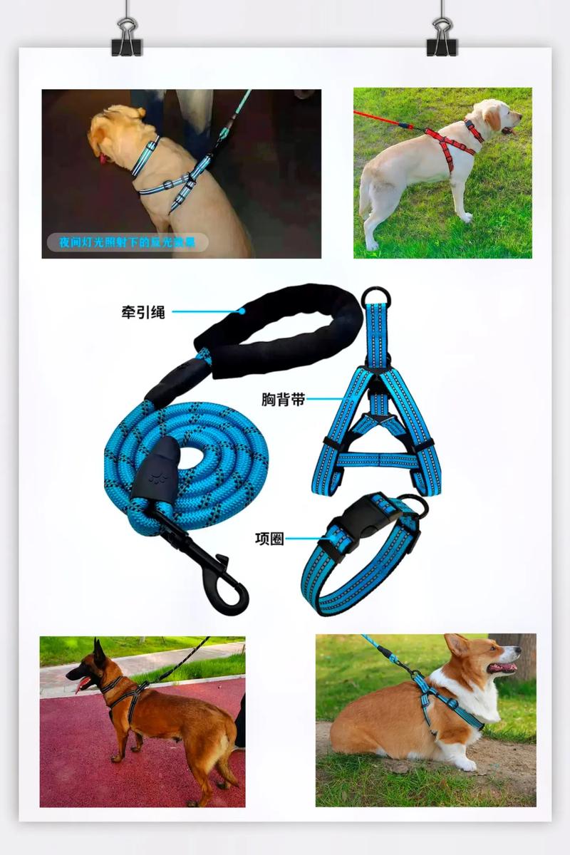 狗狗牵引绳怎么用_狗狗牵引绳用5mm还是6mm-第5张图片-后鲨宠物