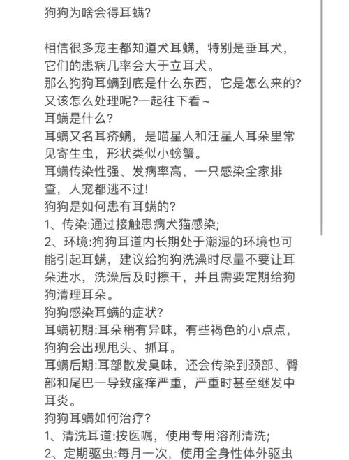 狗狗耳螨怎么引起的_狗狗耳螨引起的中耳炎要怎么治疗
