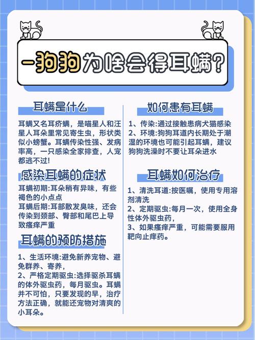 狗狗耳螨怎么引起的_狗狗耳螨引起的中耳炎要怎么治疗-第6张图片-后鲨宠物