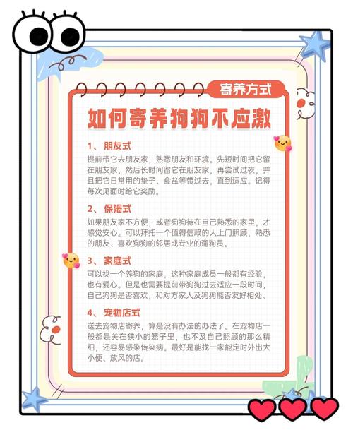 寄养狗狗注意事项，寄养狗狗注意事项有哪些？-第4张图片-后鲨宠物