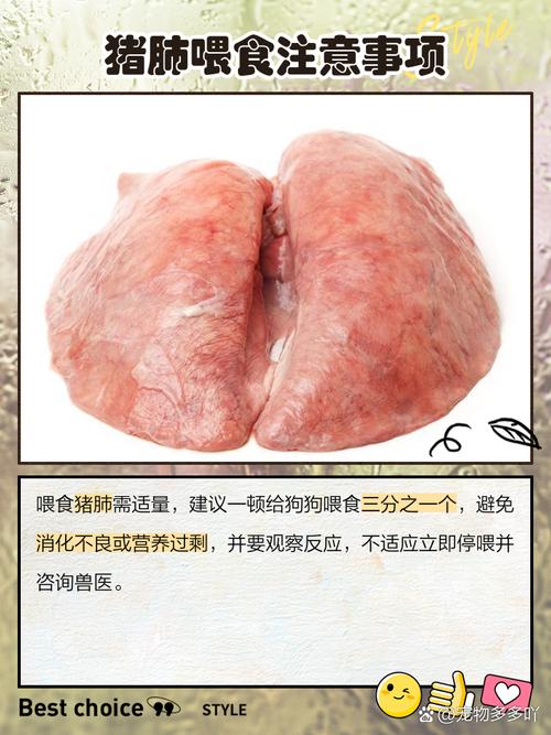 狗狗可以吃猪肺吗_狗狗可以吃猪肺吗有营养吗-第2张图片-后鲨宠物 狗狗可以吃猪肺吗_狗狗可以吃猪肺吗有营养吗-第2张图片-后鲨宠物