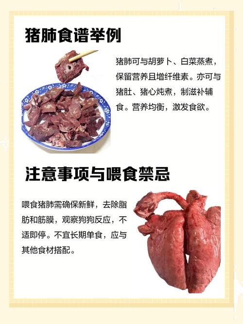 狗狗可以吃猪肺吗_狗狗可以吃猪肺吗有营养吗-第4张图片-后鲨宠物 狗狗可以吃猪肺吗_狗狗可以吃猪肺吗有营养吗-第4张图片-后鲨宠物