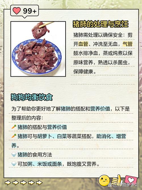 狗狗可以吃猪肺吗_狗狗可以吃猪肺吗有营养吗-第5张图片-后鲨宠物 狗狗可以吃猪肺吗_狗狗可以吃猪肺吗有营养吗-第5张图片-后鲨宠物