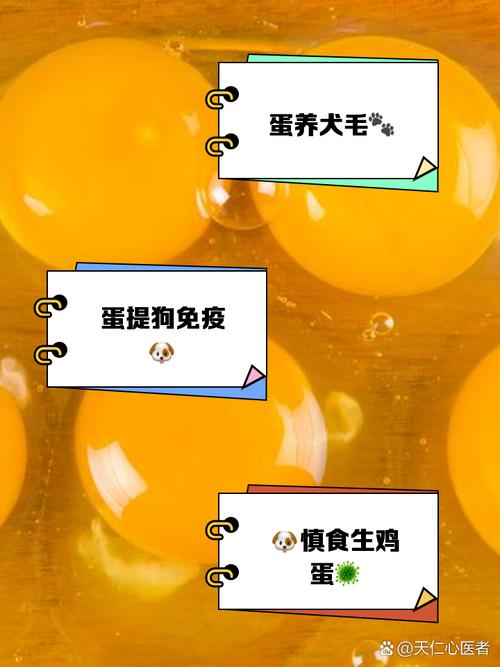 狗狗产后吃鸡蛋好吗,狗狗坐月子禁止吃什么?-第4张图片-后鲨宠物 狗狗产后吃鸡蛋好吗,狗狗坐月子禁止吃什么?-第4张图片-后鲨宠物