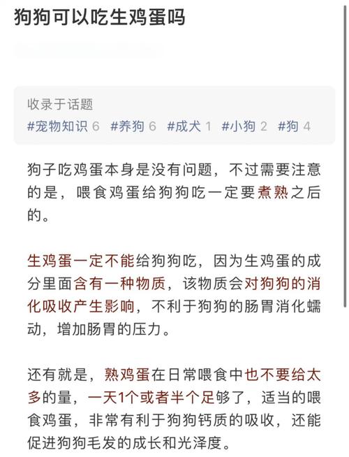 狗狗产后吃鸡蛋好吗,狗狗坐月子禁止吃什么?-第6张图片-后鲨宠物 狗狗产后吃鸡蛋好吗,狗狗坐月子禁止吃什么?-第6张图片-后鲨宠物