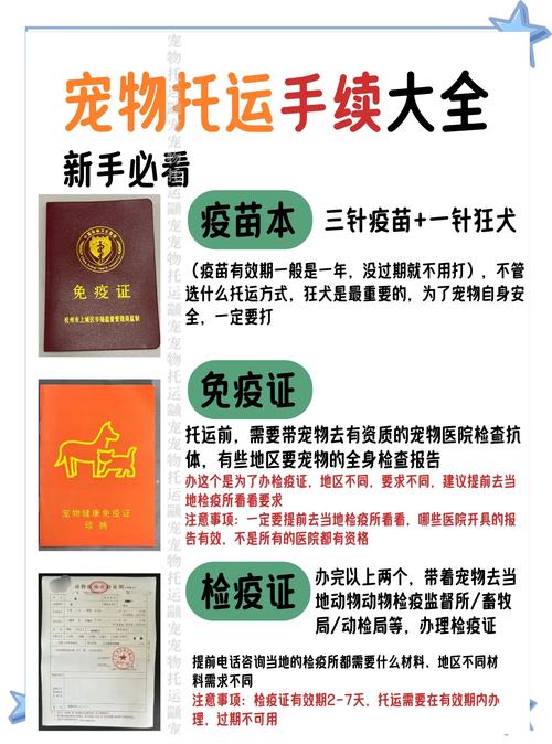 托运狗狗要办理什么手续_托运狗狗要办理什么手续才能托运-第3张图片-后鲨宠物 托运狗狗要办理什么手续_托运狗狗要办理什么手续才能托运-第3张图片-后鲨宠物