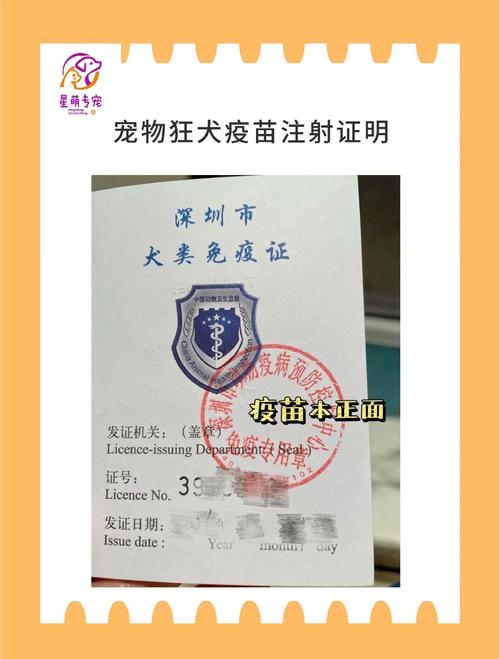 托运狗狗要办理什么手续_托运狗狗要办理什么手续才能托运-第5张图片-后鲨宠物 托运狗狗要办理什么手续_托运狗狗要办理什么手续才能托运-第5张图片-后鲨宠物