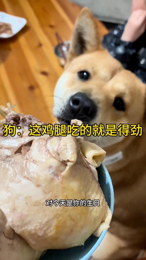 狗狗可以吃生鸡腿吗_可以给狗狗吃生鸡腿吗-第1张图片-后鲨宠物 狗狗可以吃生鸡腿吗_可以给狗狗吃生鸡腿吗-第1张图片-后鲨宠物