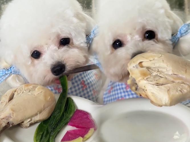 狗狗可以吃生鸡腿吗_可以给狗狗吃生鸡腿吗-第4张图片-后鲨宠物 狗狗可以吃生鸡腿吗_可以给狗狗吃生鸡腿吗-第4张图片-后鲨宠物