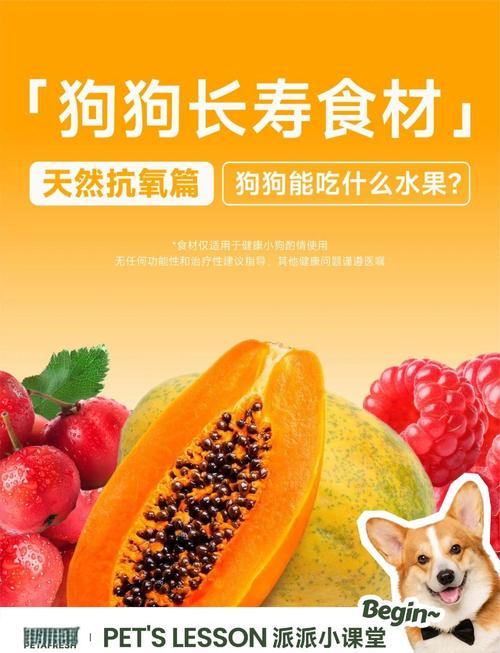 狗狗能吃山楂卷吗,狗狗能吃山楂卷吗?-第1张图片-后鲨宠物 狗狗能吃山楂卷吗,狗狗能吃山楂卷吗?-第1张图片-后鲨宠物