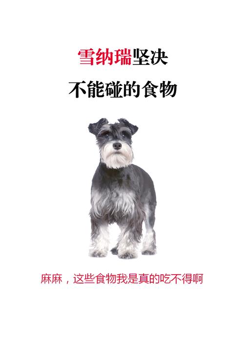 狗狗能吃山楂卷吗,狗狗能吃山楂卷吗?-第3张图片-后鲨宠物 狗狗能吃山楂卷吗,狗狗能吃山楂卷吗?-第3张图片-后鲨宠物