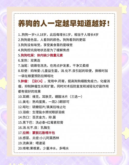 一年狗狗相当于几岁,一年狗狗相当于几岁的年龄-第5张图片-后鲨宠物 一年狗狗相当于几岁,一年狗狗相当于几岁的年龄-第5张图片-后鲨宠物