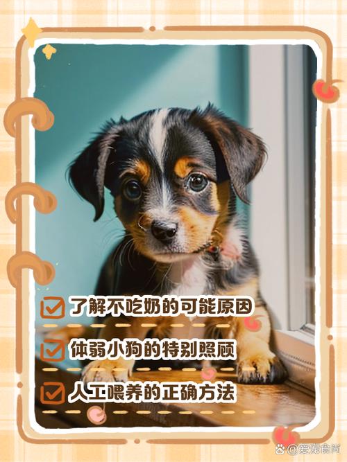 狗狗能吃炼乳吗_狗狗能吃炼乳吗会死吗-第2张图片-后鲨宠物 狗狗能吃炼乳吗_狗狗能吃炼乳吗会死吗-第2张图片-后鲨宠物