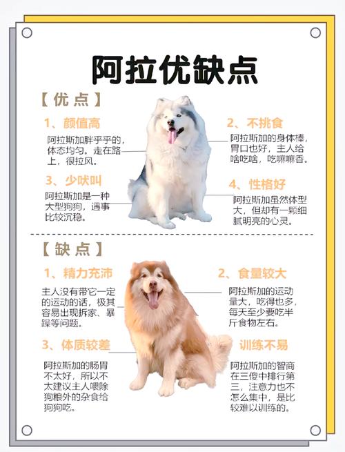 阿拉斯加狗狗名字_阿拉斯加狗名字大全 顺口的-第4张图片-后鲨宠物 阿拉斯加狗狗名字_阿拉斯加狗名字大全 顺口的-第4张图片-后鲨宠物