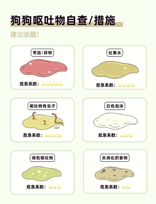 狗狗干咳怎么回事_狗狗干咳怎么回事啊-第5张图片-后鲨宠物