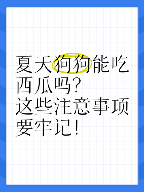 狗狗可以吃西瓜吗，博美狗狗可以吃西瓜吗？-第5张图片-后鲨宠物