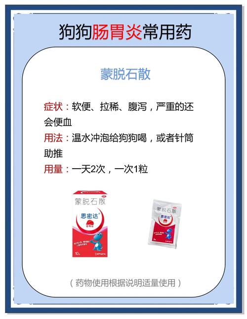 狗狗肠胃炎怎么办_狗狗肠胃炎的症状及治疗方法-第4张图片-后鲨宠物 狗狗肠胃炎怎么办_狗狗肠胃炎的症状及治疗方法-第4张图片-后鲨宠物