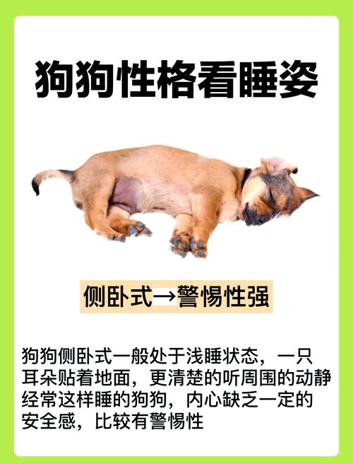 狗狗耳朵凉正常吗,狗狗耳朵凉是冷吗?-第3张图片-后鲨宠物 狗狗耳朵凉正常吗,狗狗耳朵凉是冷吗?-第3张图片-后鲨宠物