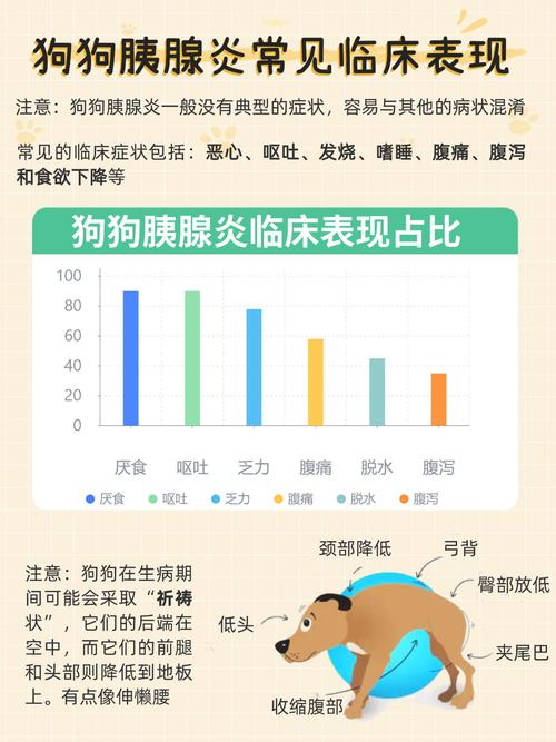 狗狗能吃内脏吗_狗狗能吃内脏吗会死吗-第3张图片-后鲨宠物 狗狗能吃内脏吗_狗狗能吃内脏吗会死吗-第3张图片-后鲨宠物