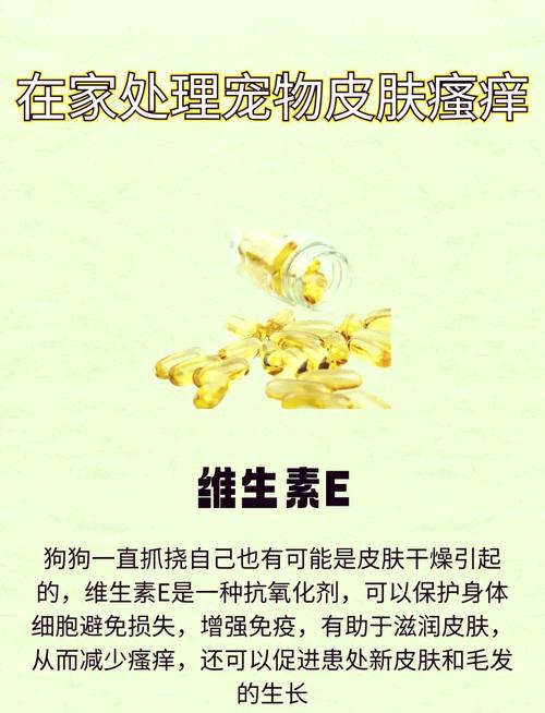 狗狗鼻子溃烂用什么药,狗狗鼻子溃疡怎么治疗?-第1张图片-后鲨宠物 狗狗鼻子溃烂用什么药,狗狗鼻子溃疡怎么治疗?-第1张图片-后鲨宠物